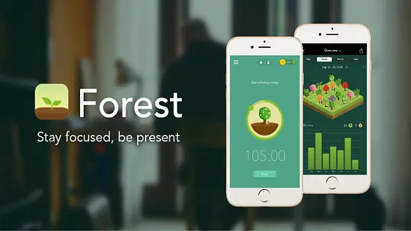%E5%9B%BE%E7%89%871forest%20-%20%E5%89%AF%E6%9C%AC